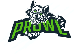 Jamestown Valley City Peewee A