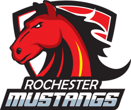 Rochester Bantam C Gray