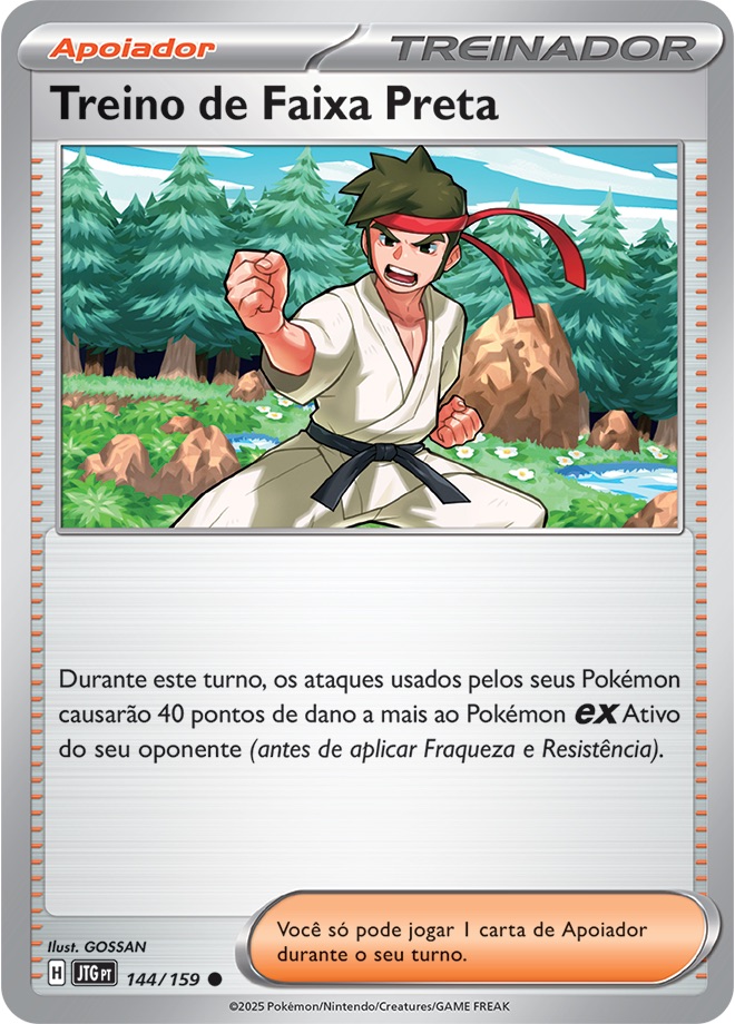 Treino de Faixa Preta