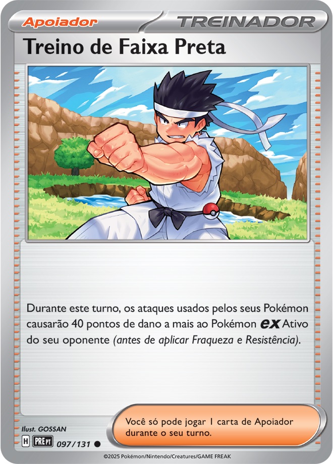 Treino de Faixa Preta