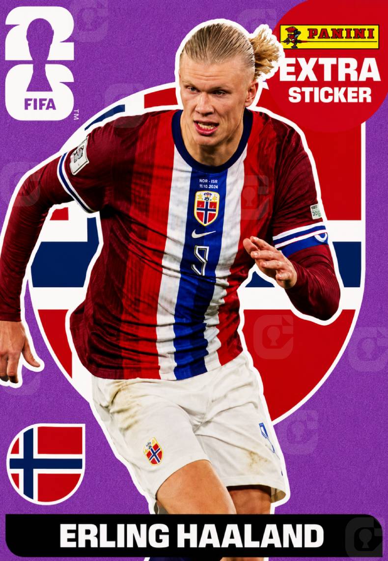 Erling Haaland