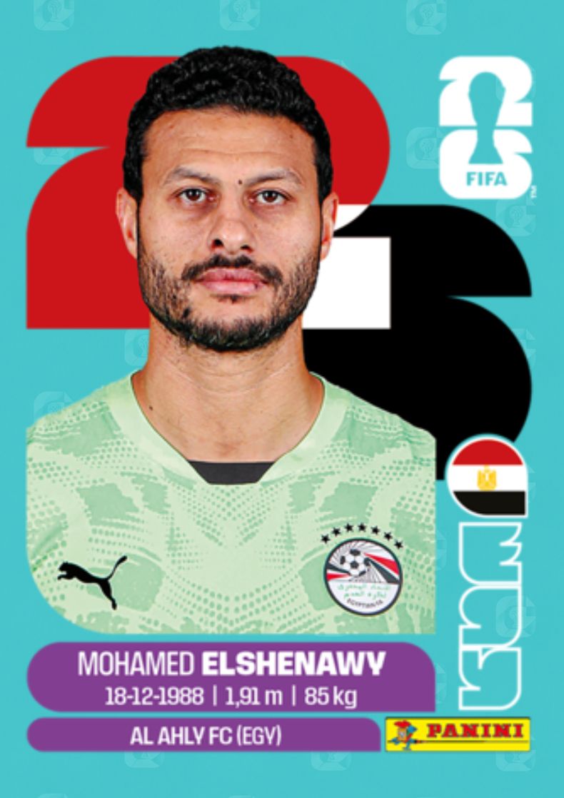 Mohamed Elshenawy