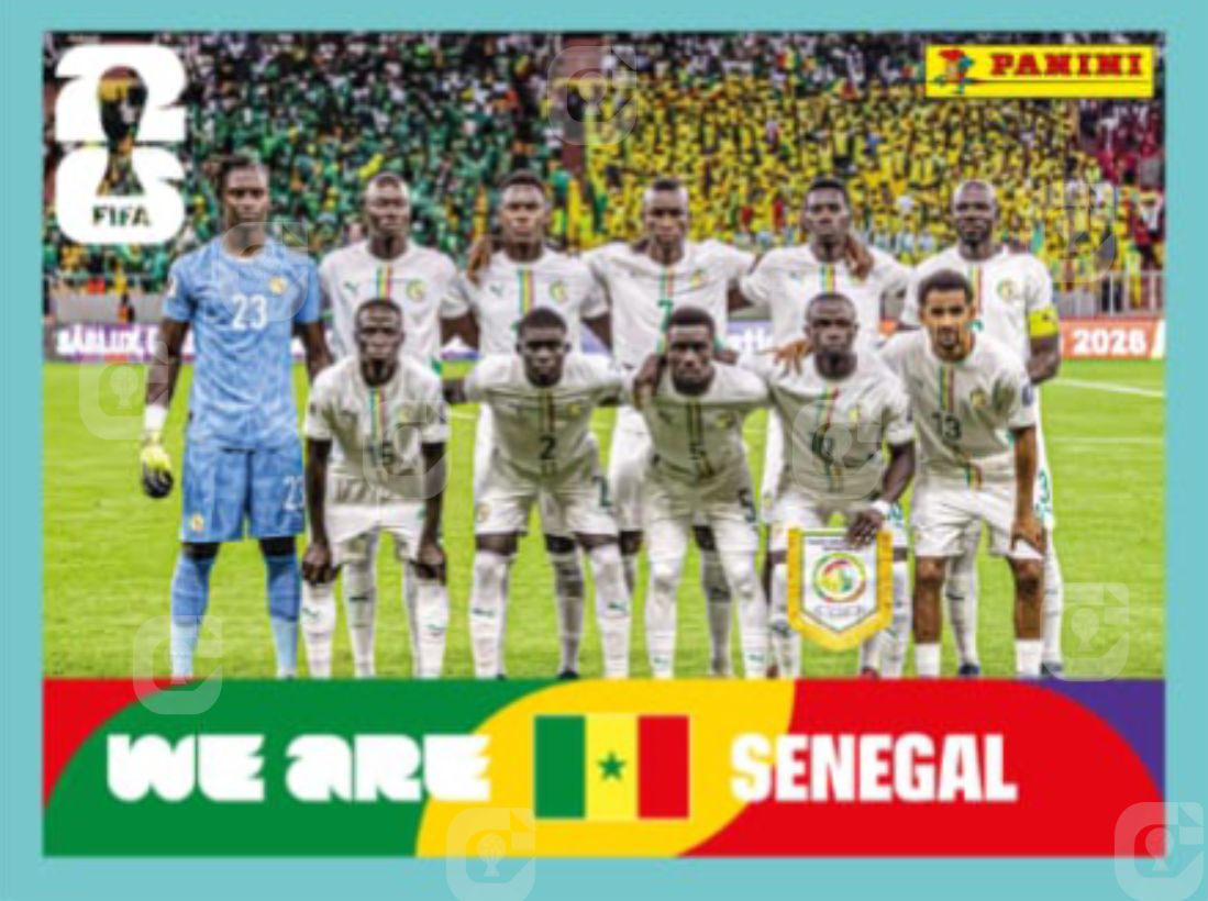 Foto Oficial Senegal