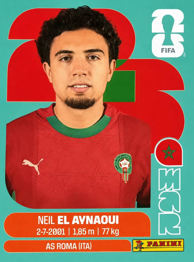 Neil El Aynaoui