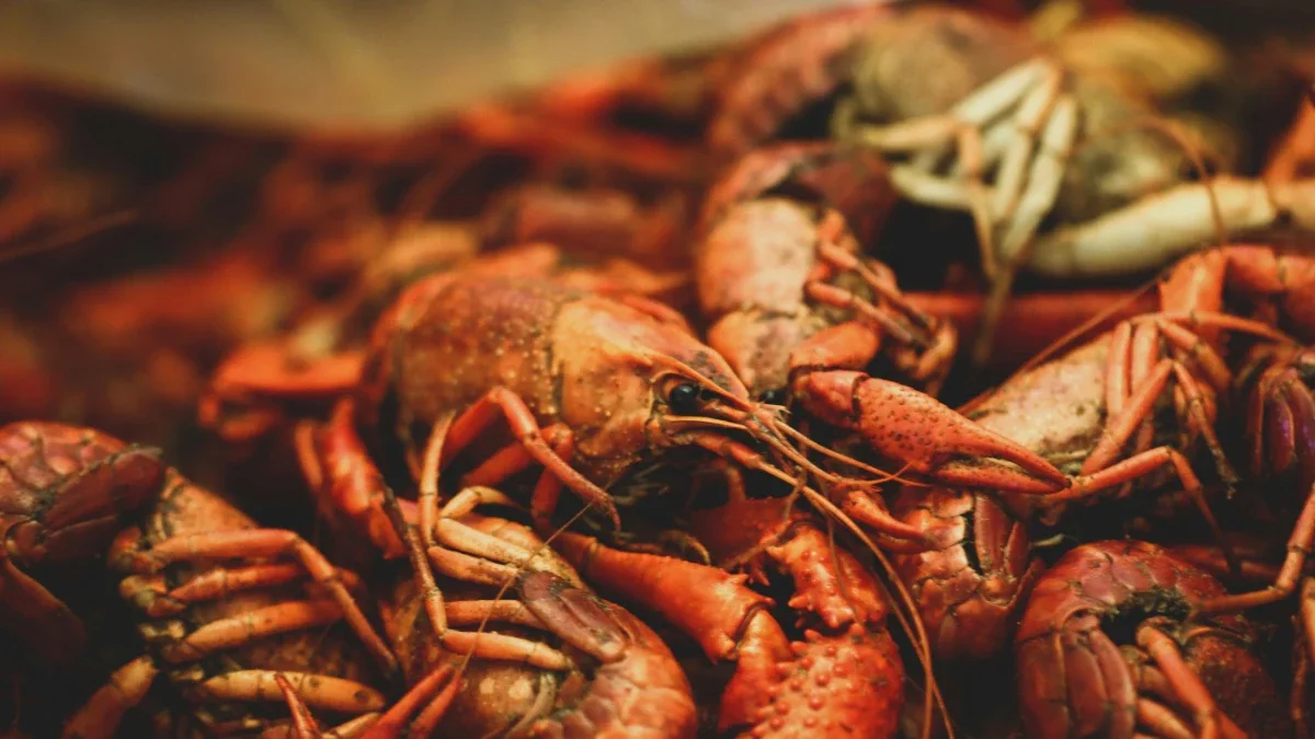 Two million-dollar helicopters forfeited over luxury crayfish trips