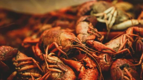Two million-dollar helicopters forfeited over luxury crayfish trips
