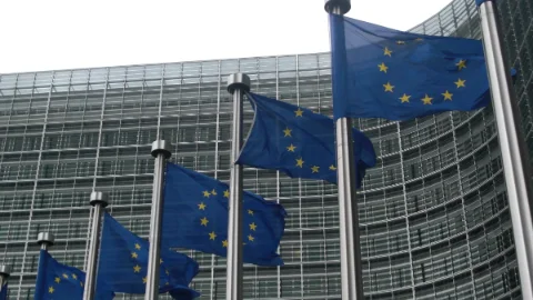 Climate activists take NZ policy fight to Brussels through trade deal