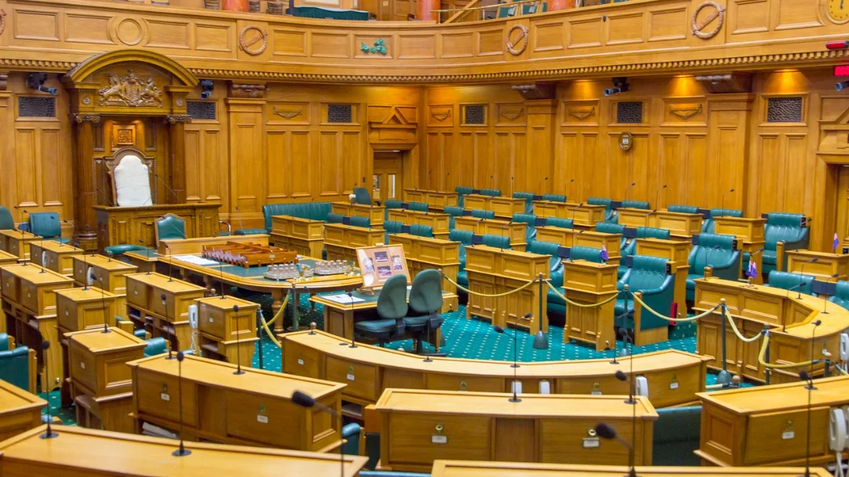 Poll calls Opportunity kingmaker, but National overhang could change everything