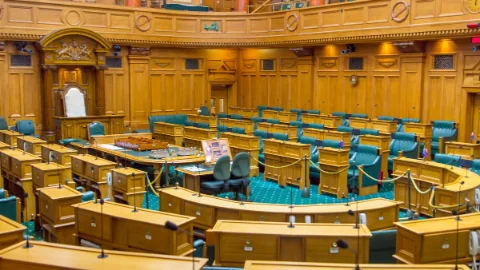 Poll calls Opportunity kingmaker, but National overhang could change everything