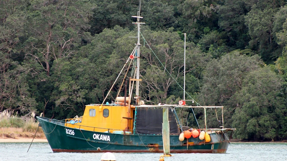 TOP’s trawling bottom line sparks clash over Māori Treaty fishing rights