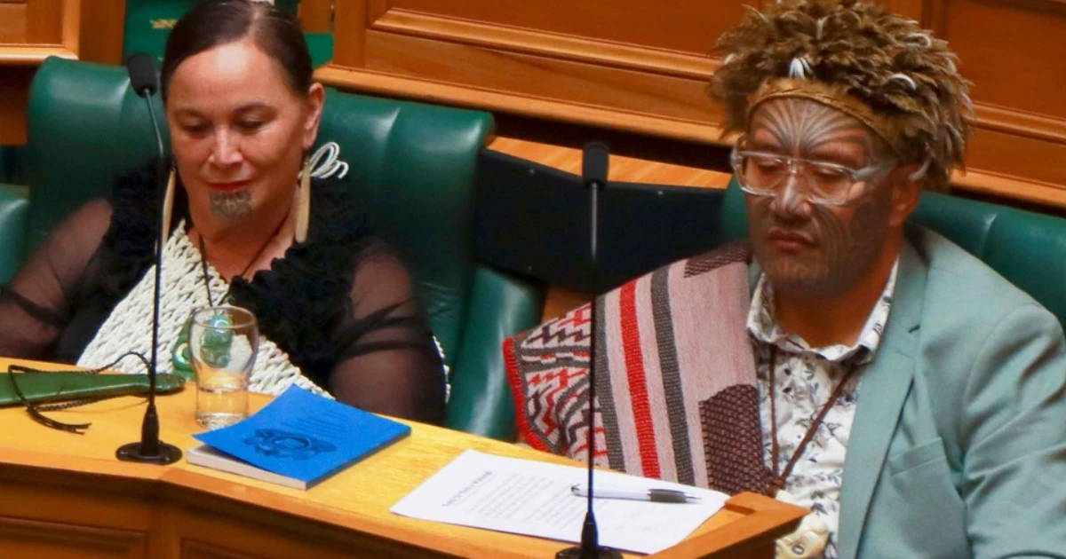 If TPM games MMP, it could spell the end of the Māori seats