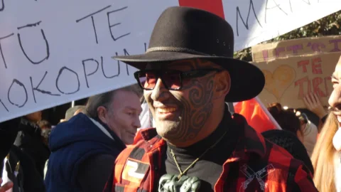 Te Pāti Māori’s one-person list backs plan to boost left bloc through overhang seats