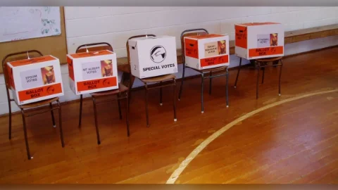Electoral Commission uses Green Party slogan, calls it a ‘common phrase’
