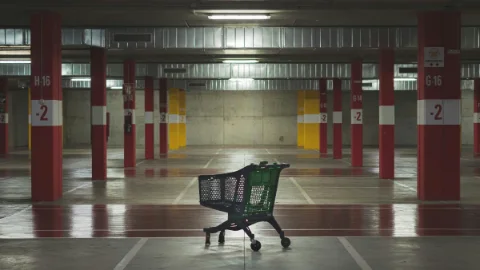 Grant says National is sacrificing property rights to give shoppers a villain