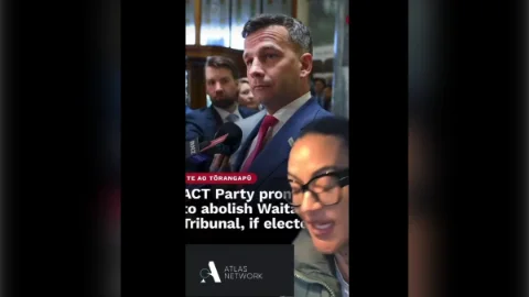 Green candidate who condemned workplace bullying posts profane clip with Seymour pictured