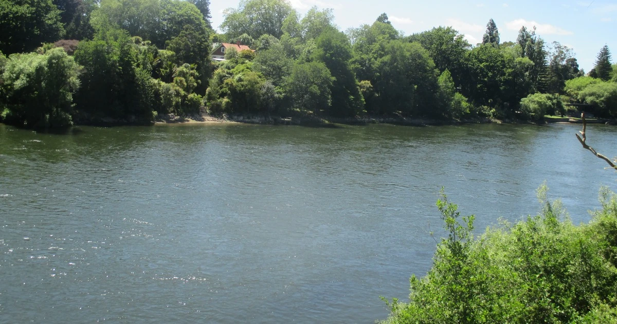 Government reins in new co-governance while Tainui settlement rights remain