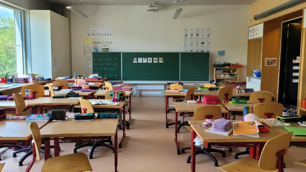 Teaching Council should have barred child sex offender a decade earlier