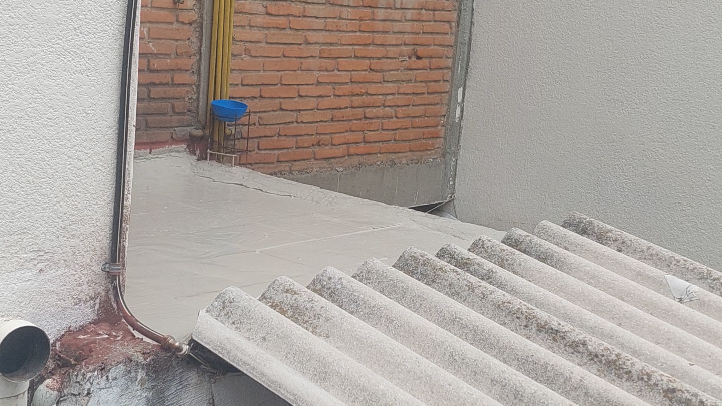 Francisco Hernández trabajo 8