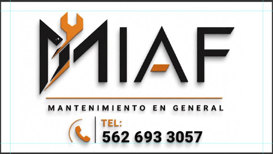 Miguel fernandez