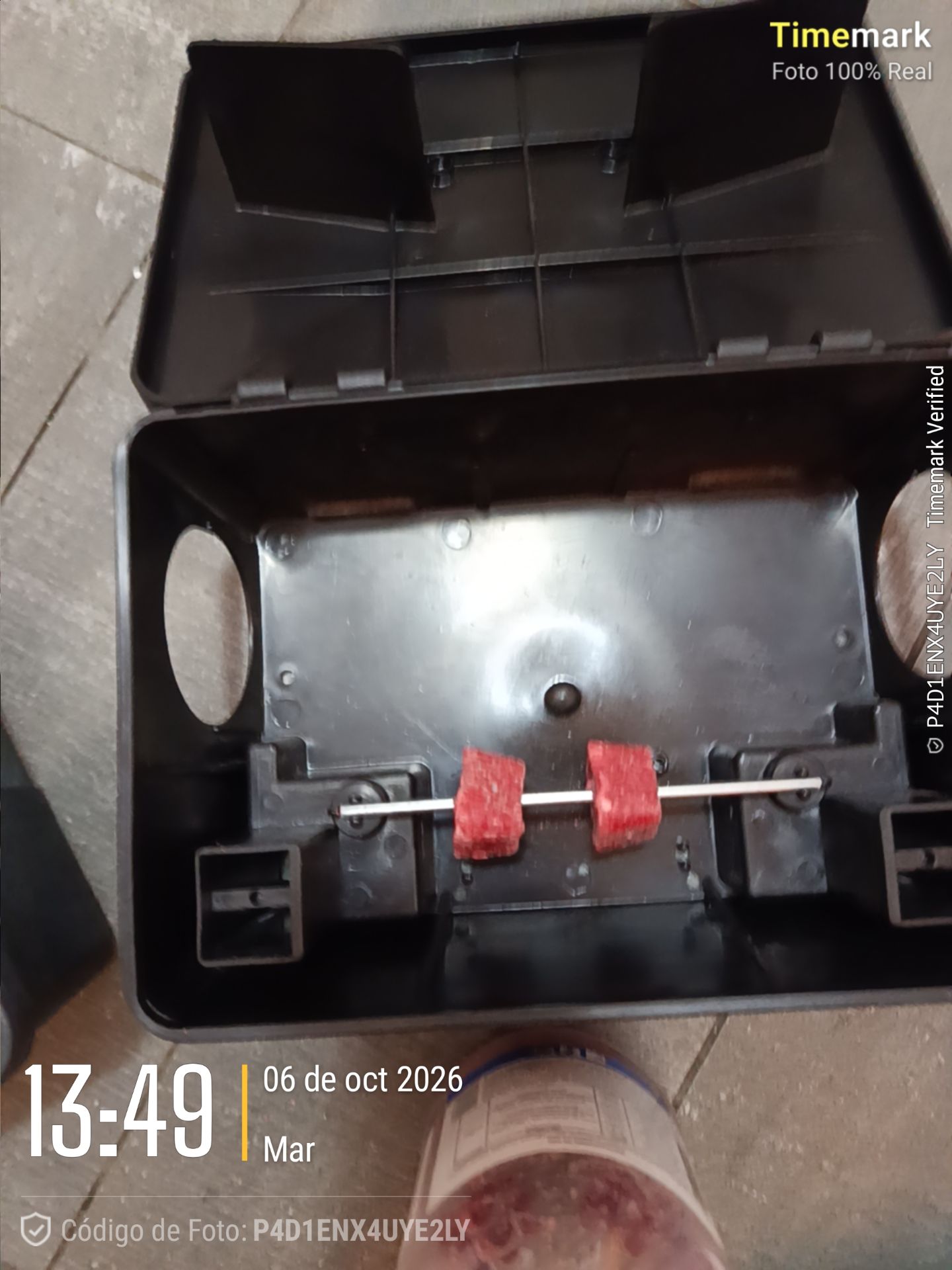 Gibbor control de plagas trabajo 7