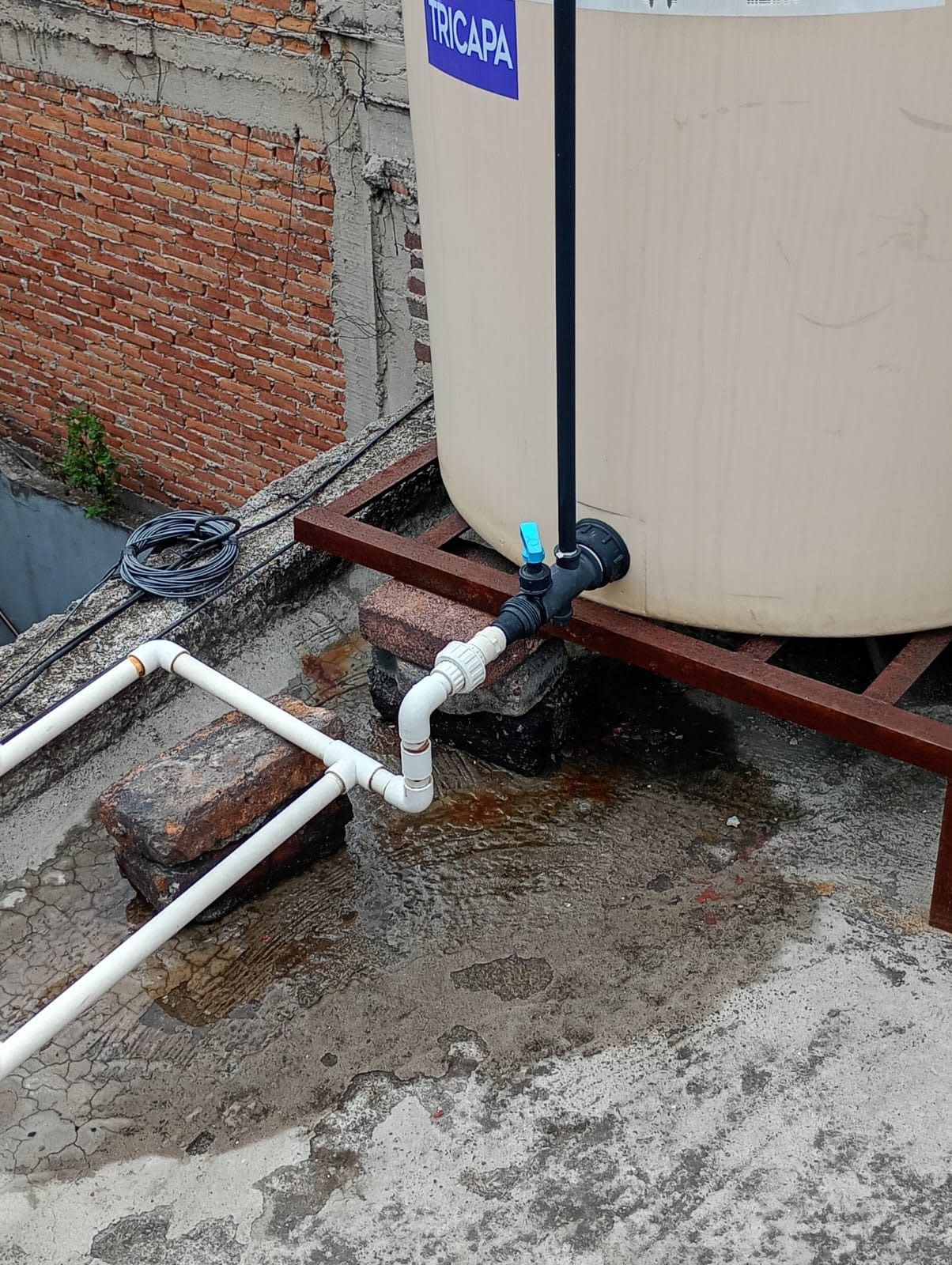 Francisco Márquez trabajo 4