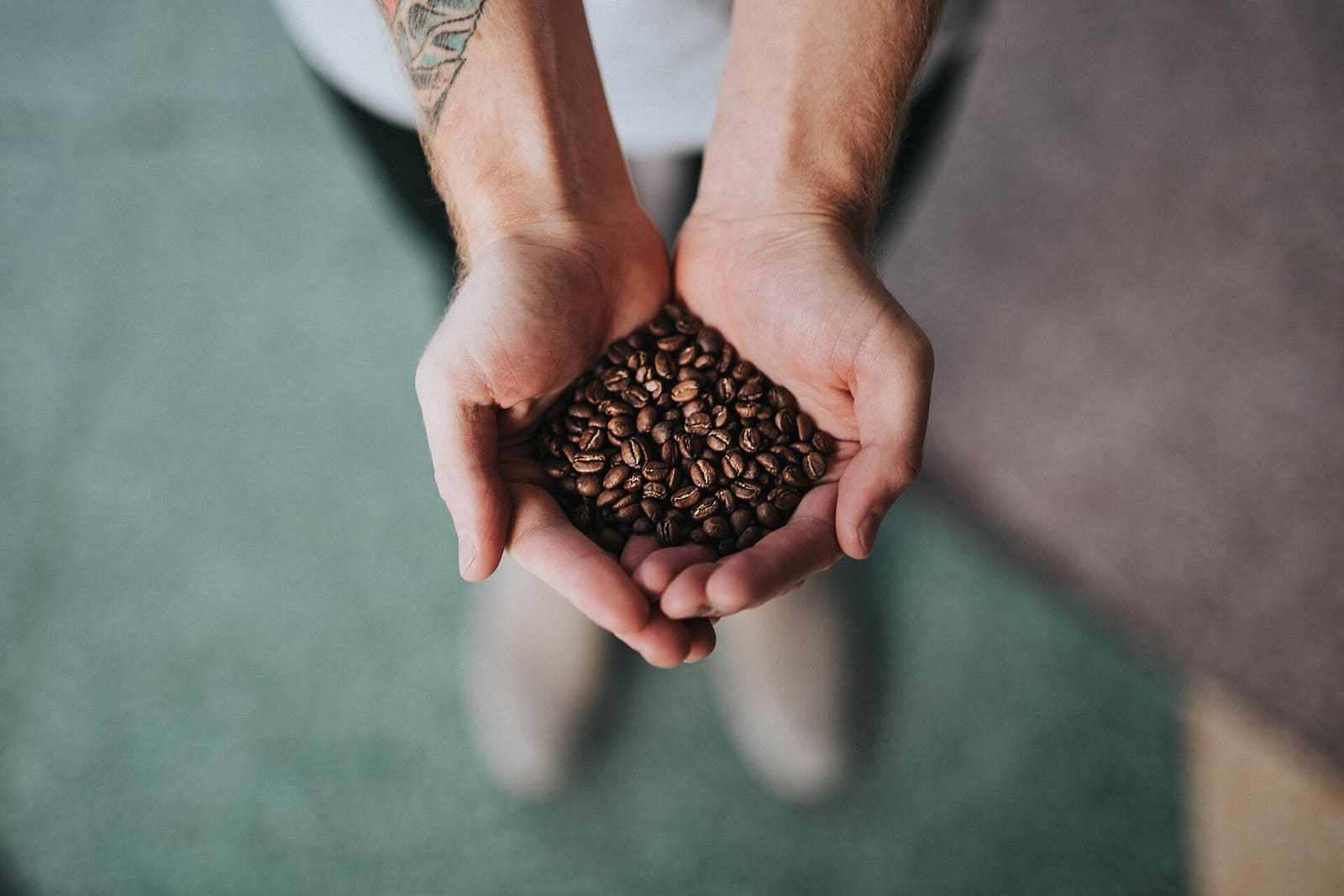 Freshly roasted coffee beans in cupped hands