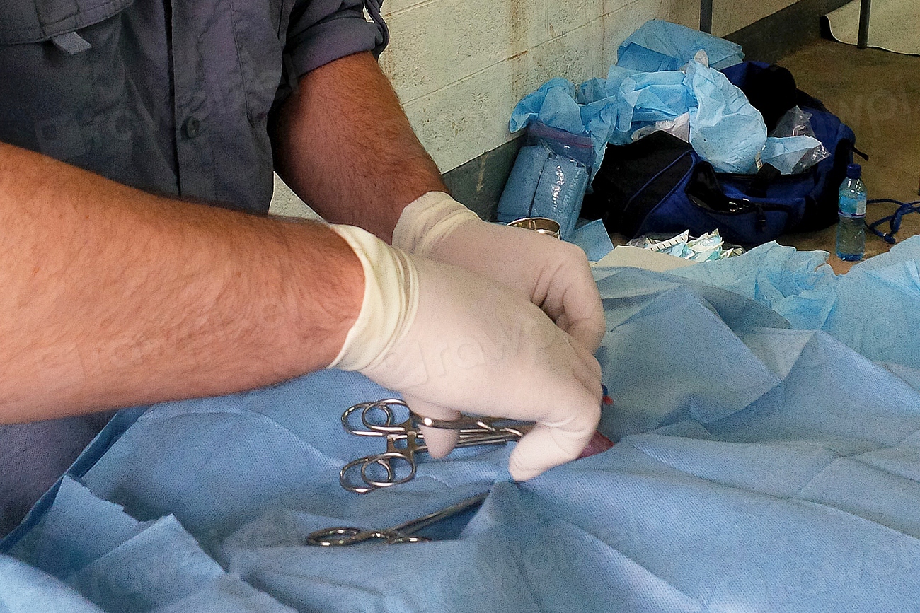 A doctor performing a surgical