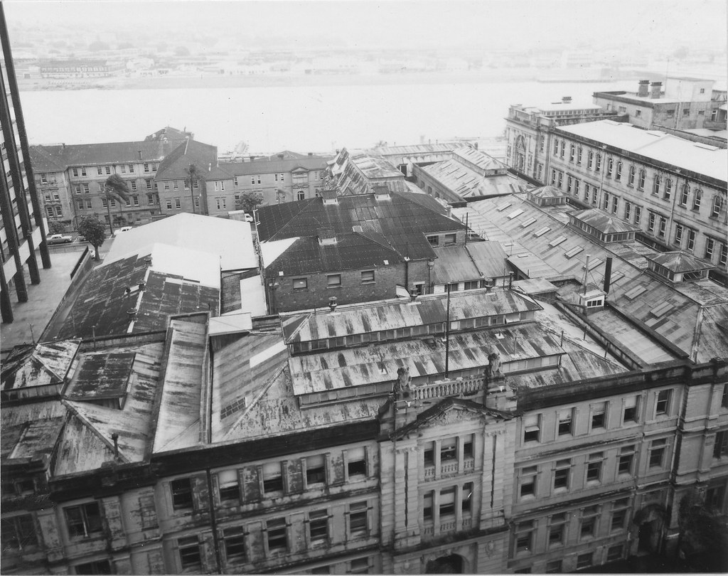 View of the roof of the Government Printer Building, with the Brisbane River in the background - Bri