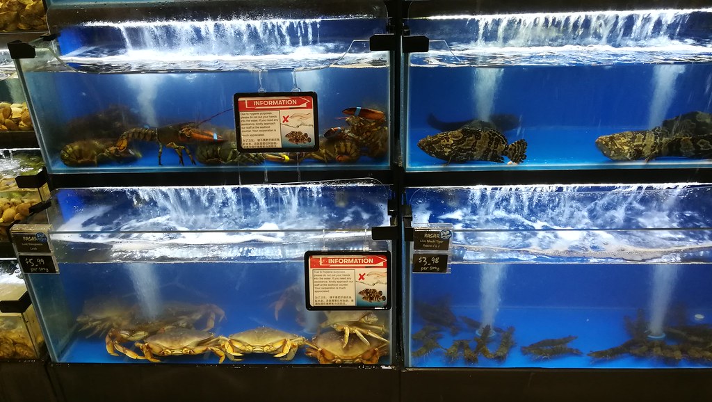 Live seafood for sale