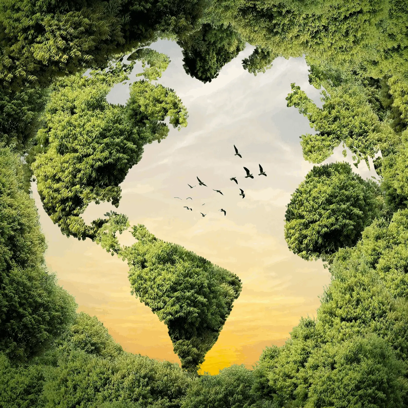 Empowering Sustainable Futures