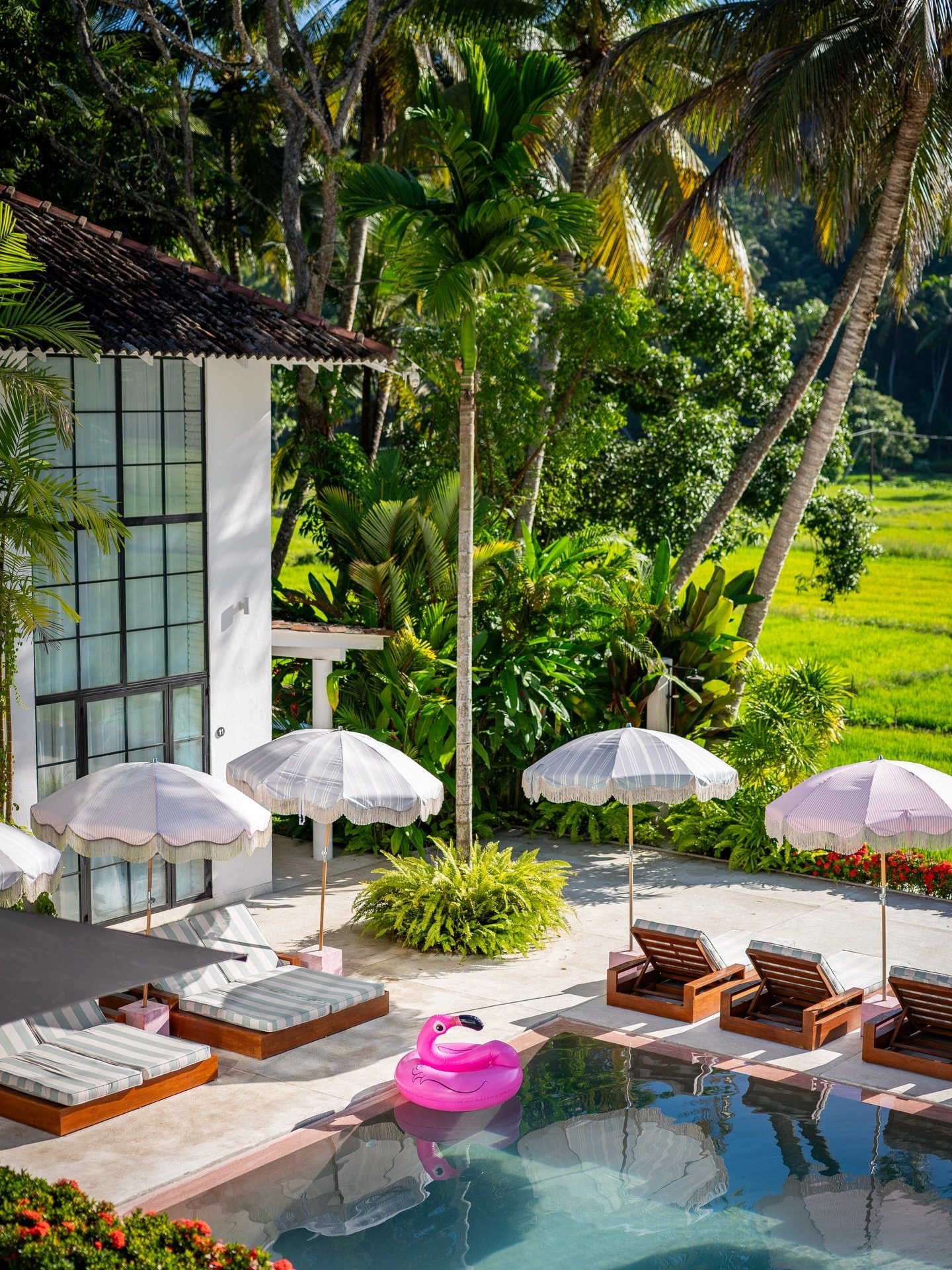 Miss Ceylon Hotel
