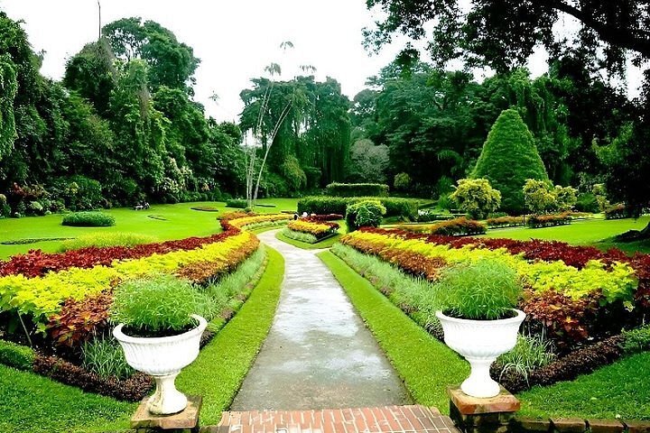 Royal Botanical Gardens, Peradeniya