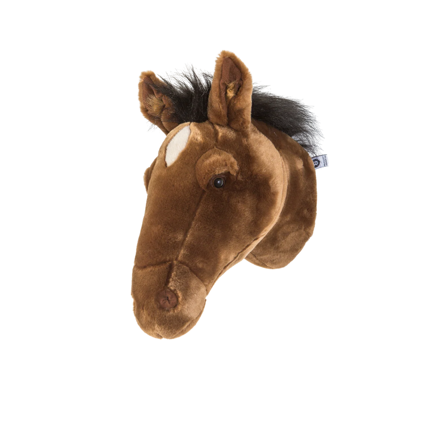 Scarlett le cheval