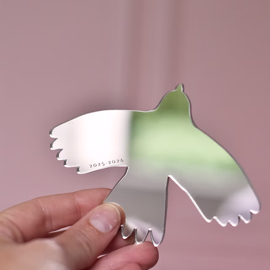 Miroir de poche fin d'année scolaire "Oiseau"  2
