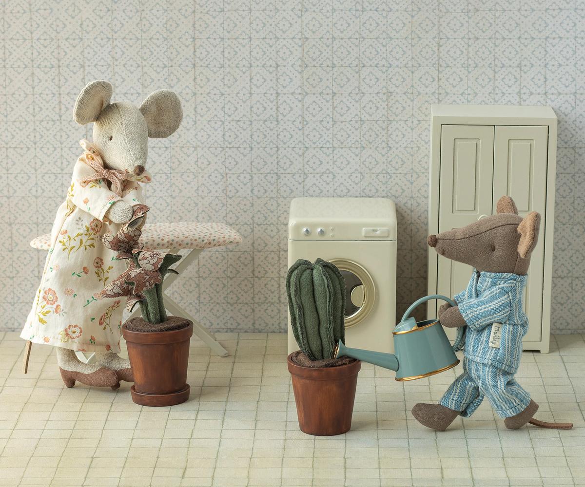 Cactus dans son pot 2