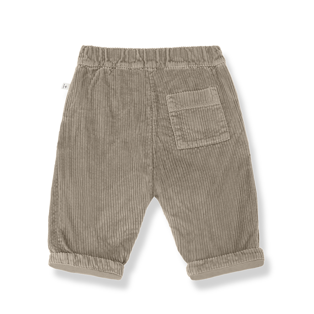 Pantalon velours QUEBEC taupe 2