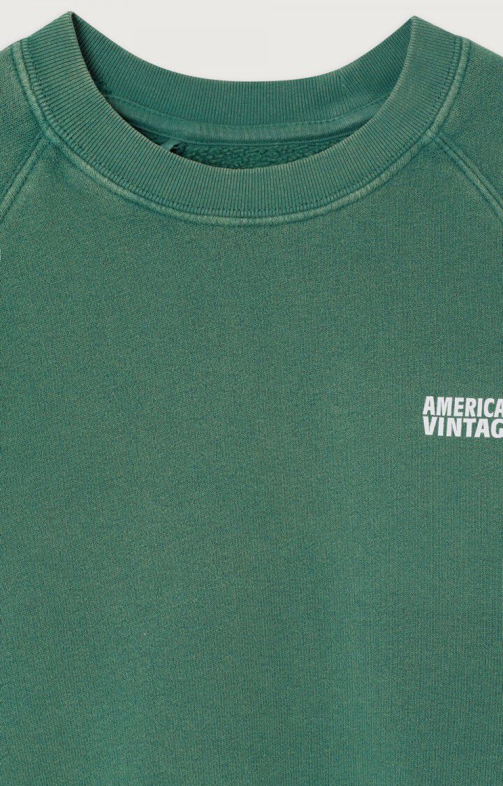 Americain Vintage : Sweat Izubird Cendre Vintage 2