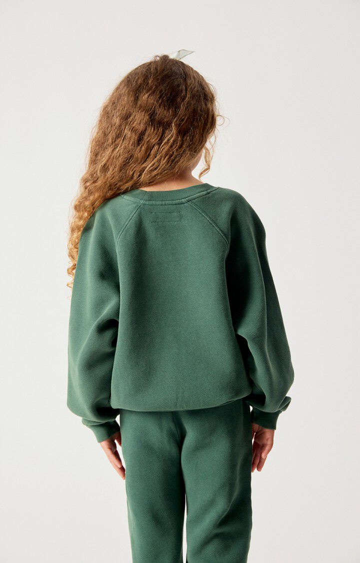 Americain Vintage : Sweat Izubird Cendre Vintage 4
