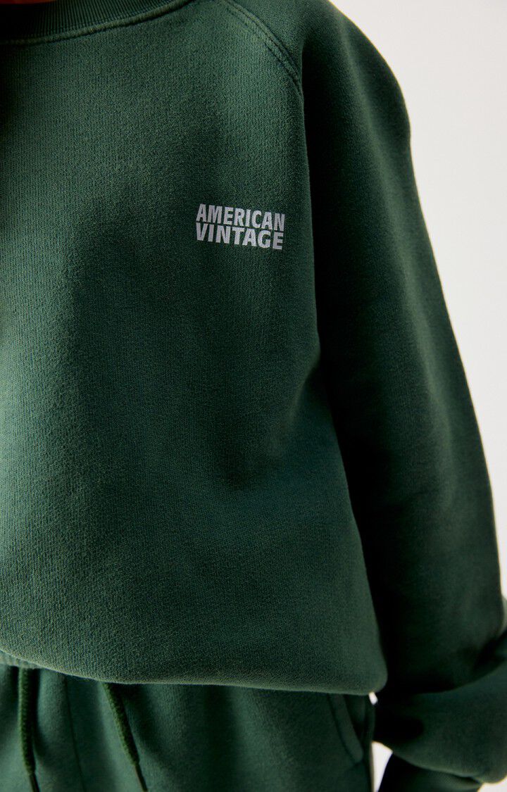 Americain Vintage : Sweat Izubird Cendre Vintage 5