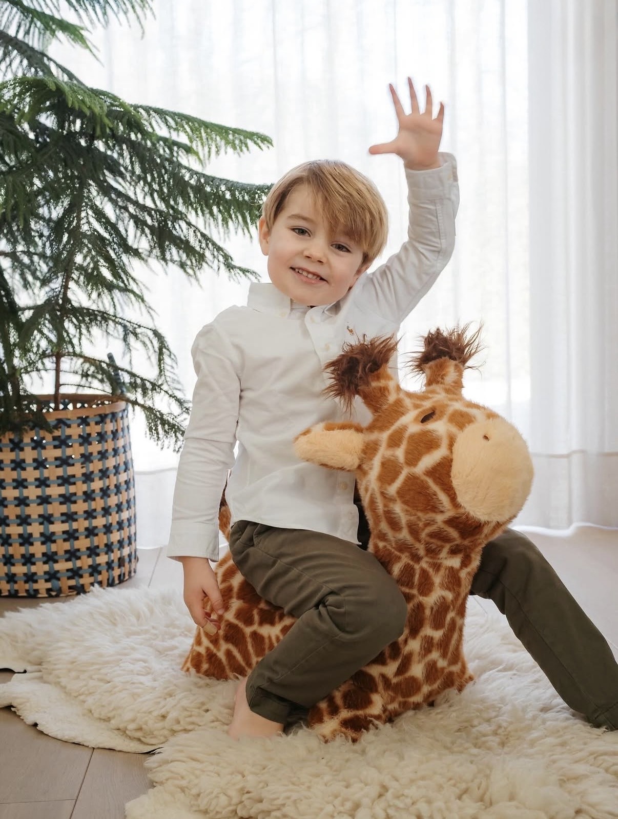Girafe animal sauteur