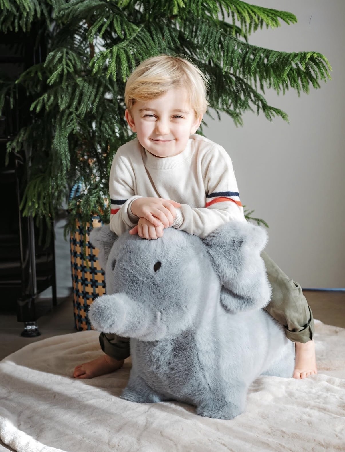 Elephant animal sauteur 
