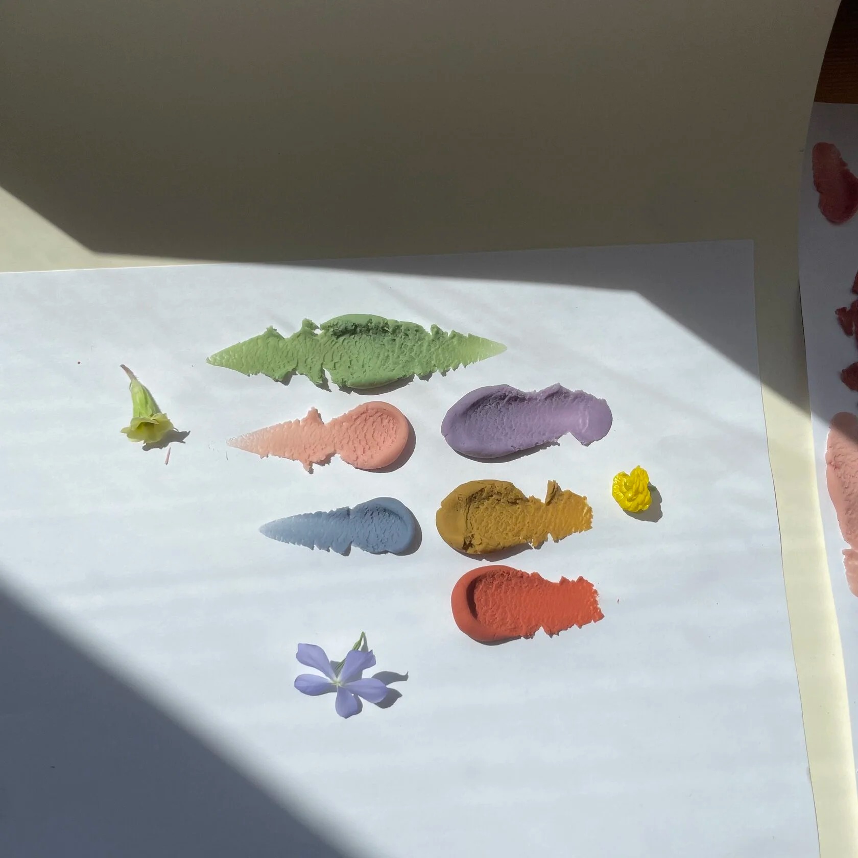 Pate à modeler Noonchi Coffret Botanique x6 2