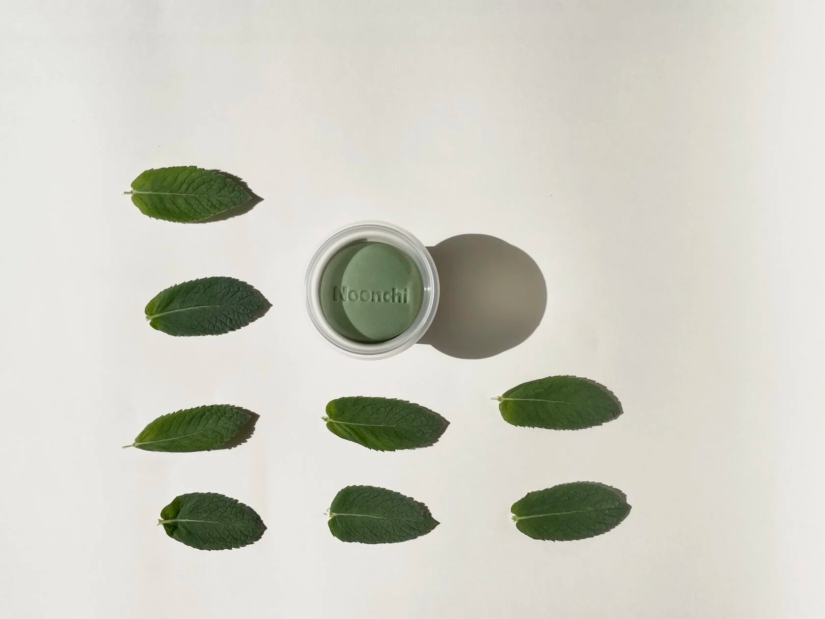 Pate à modeler Noonchi Coffret Botanique x6 10
