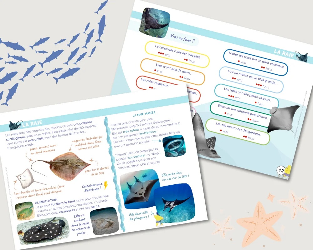 Livret Les animaux marins  5