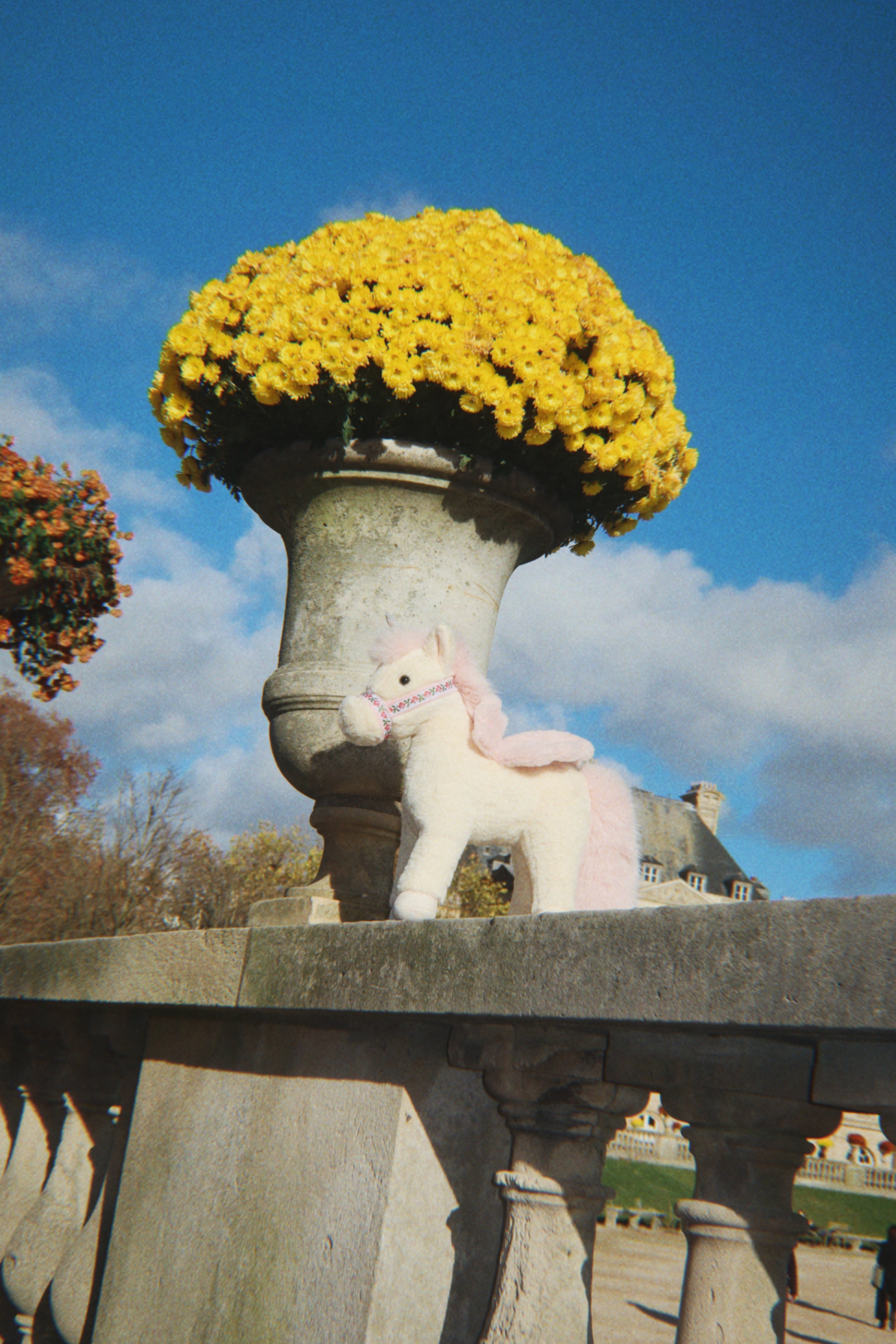 Licorne Starlight 2