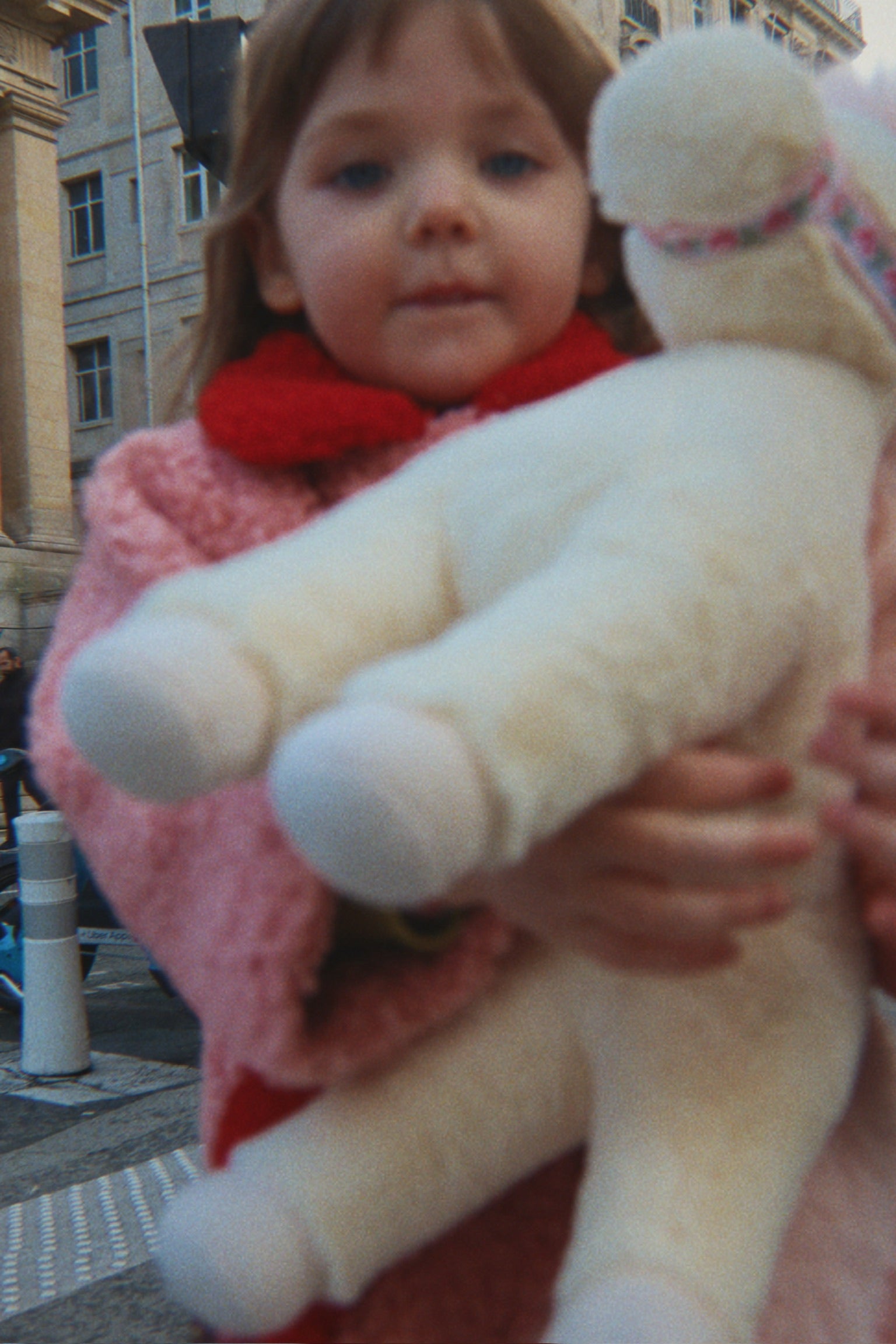 Licorne Starlight 5