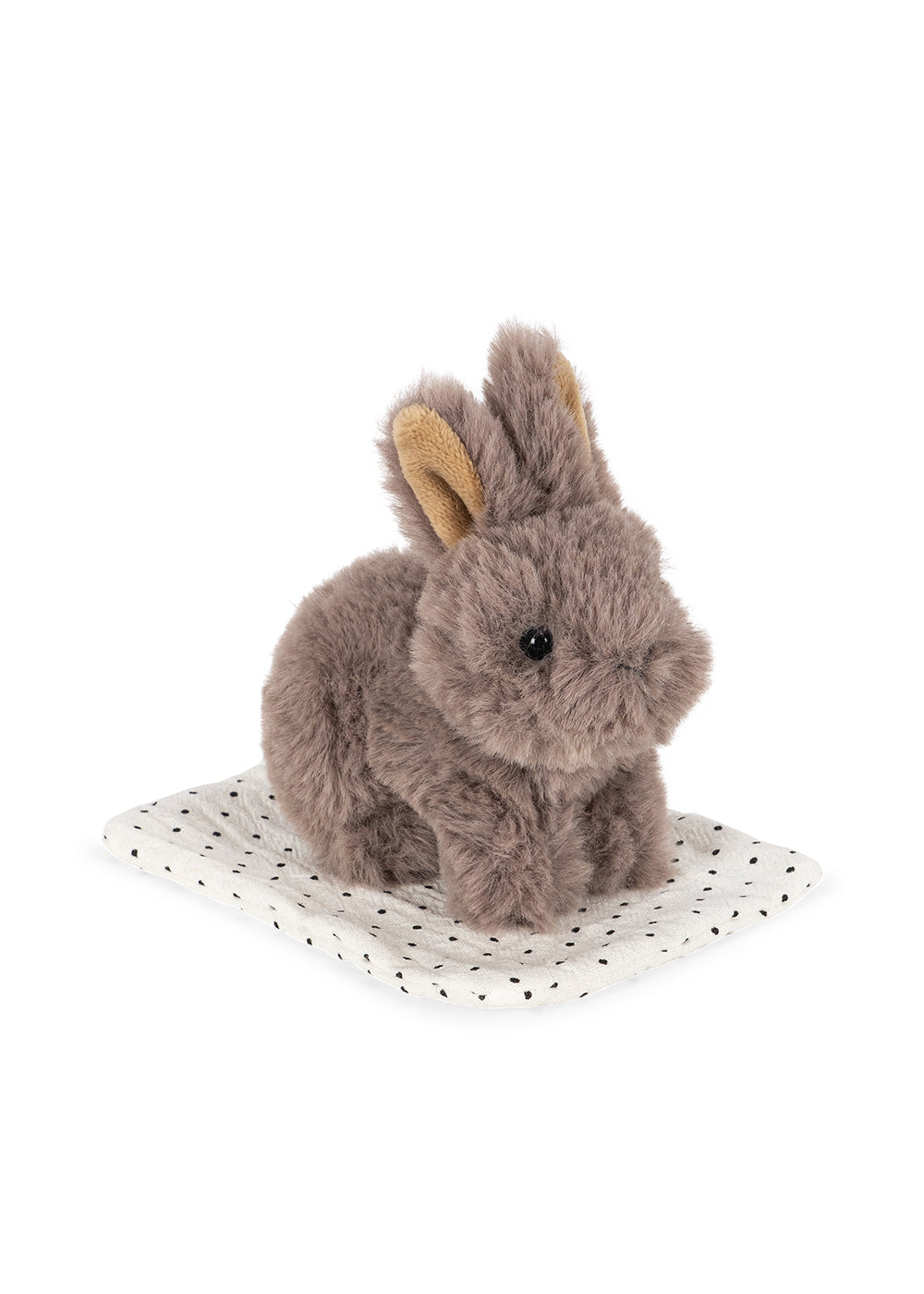Petit lapin et sa cage de transport 2