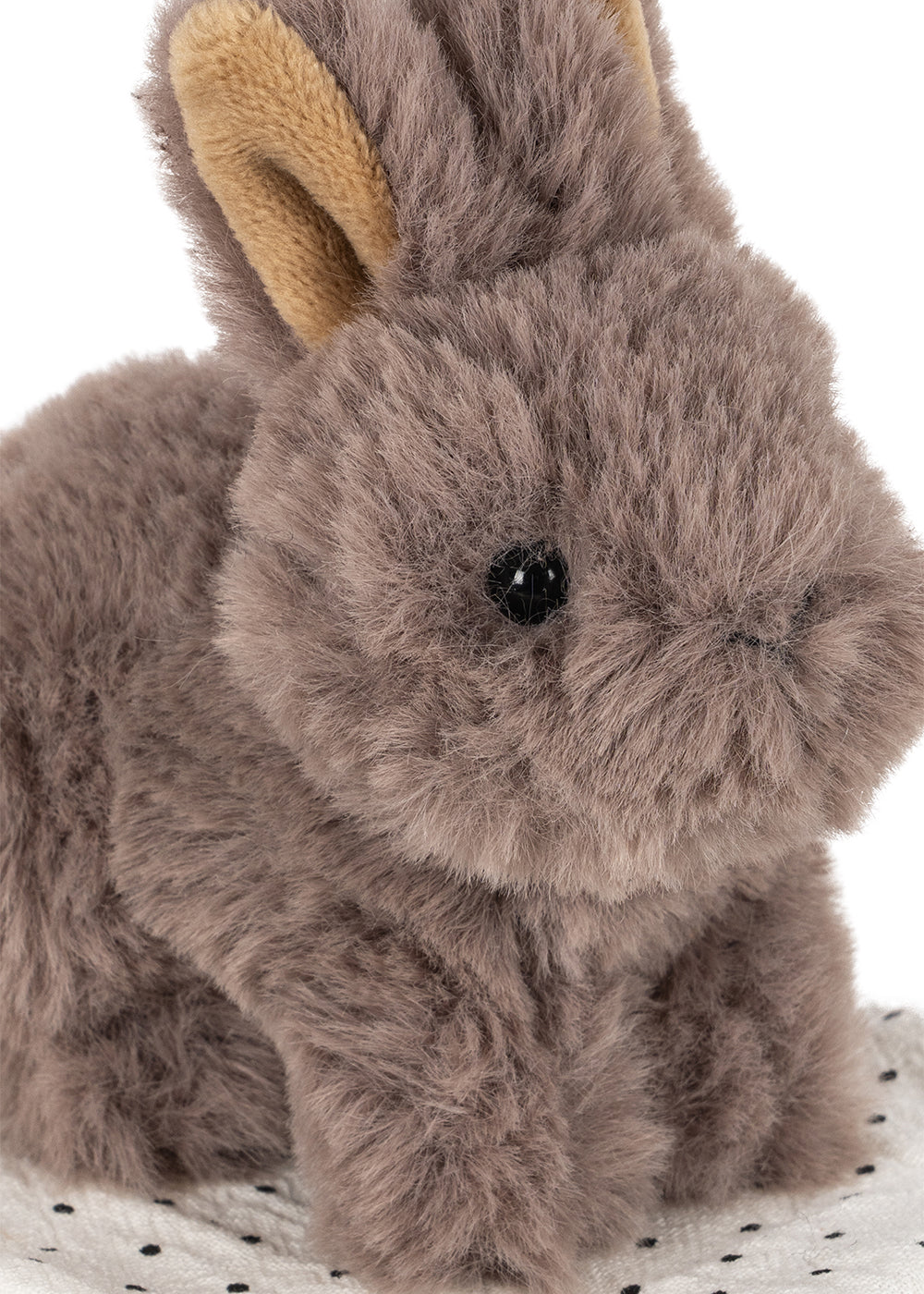 Petit lapin et sa cage de transport 4