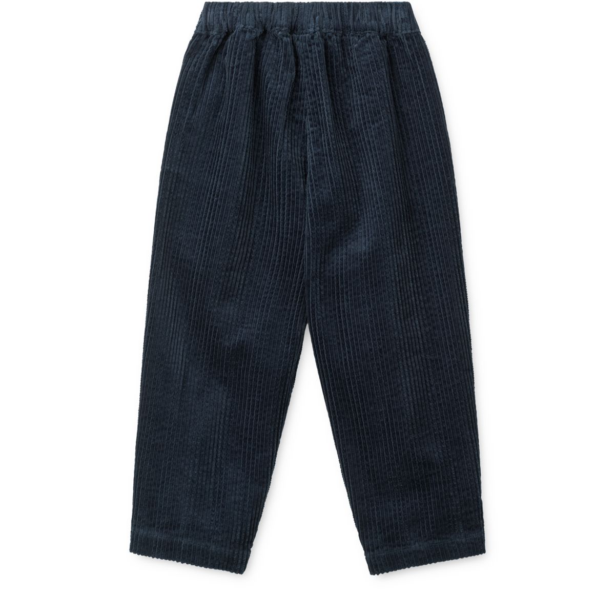 Pantalon en velours côtelé BORRIS marine 2