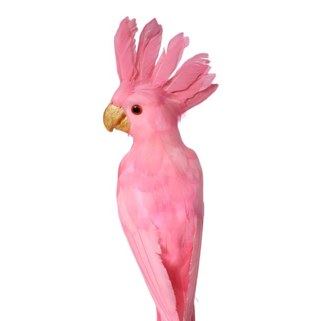Grande perruche décorative rose 3